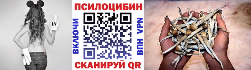 МЕГА рабочий сайт Нестеровская Псилоцибиновые грибы Cubensis где можно купить наркотик